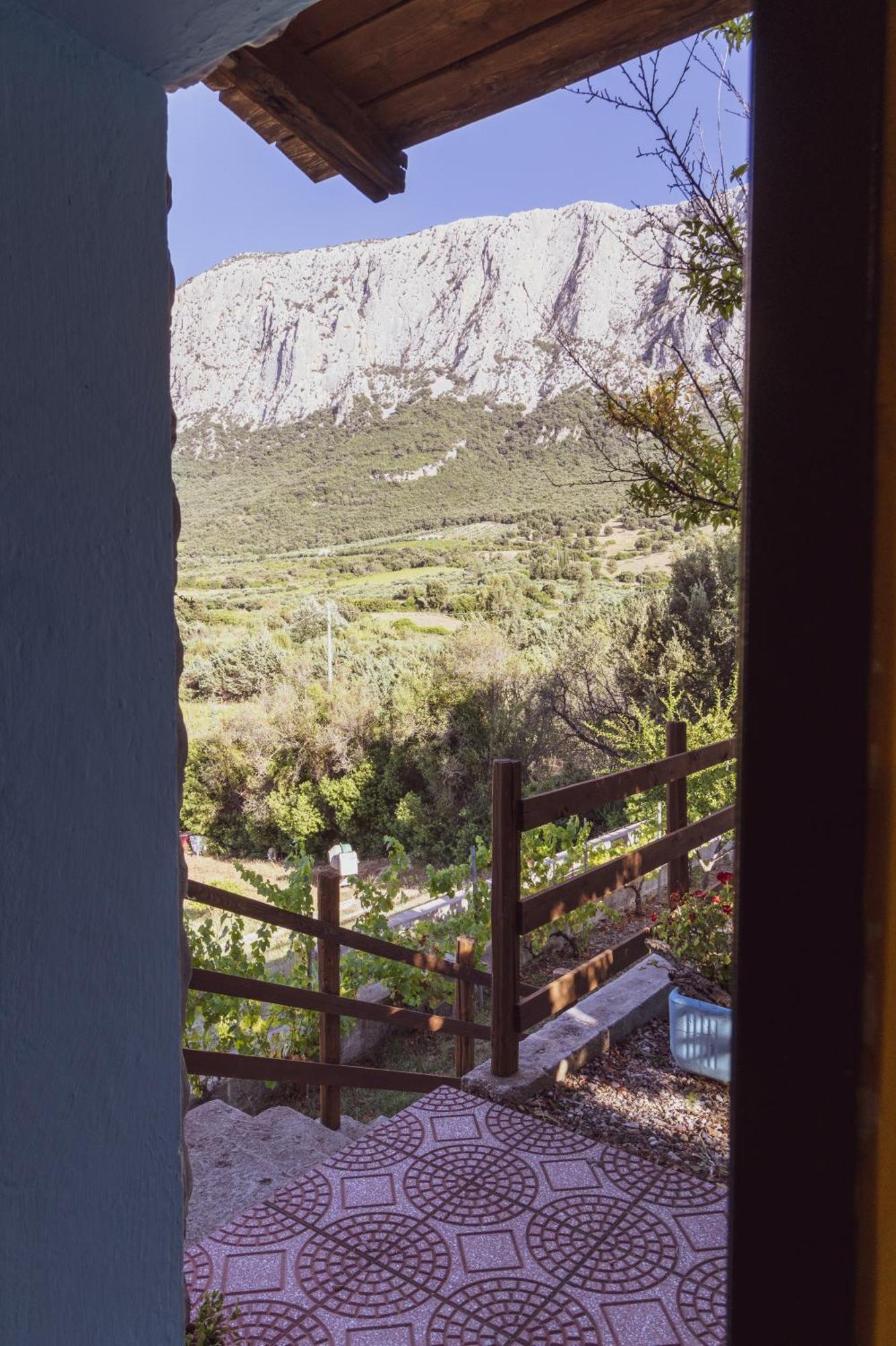 Panoramic House Vila Oliena Exterior foto