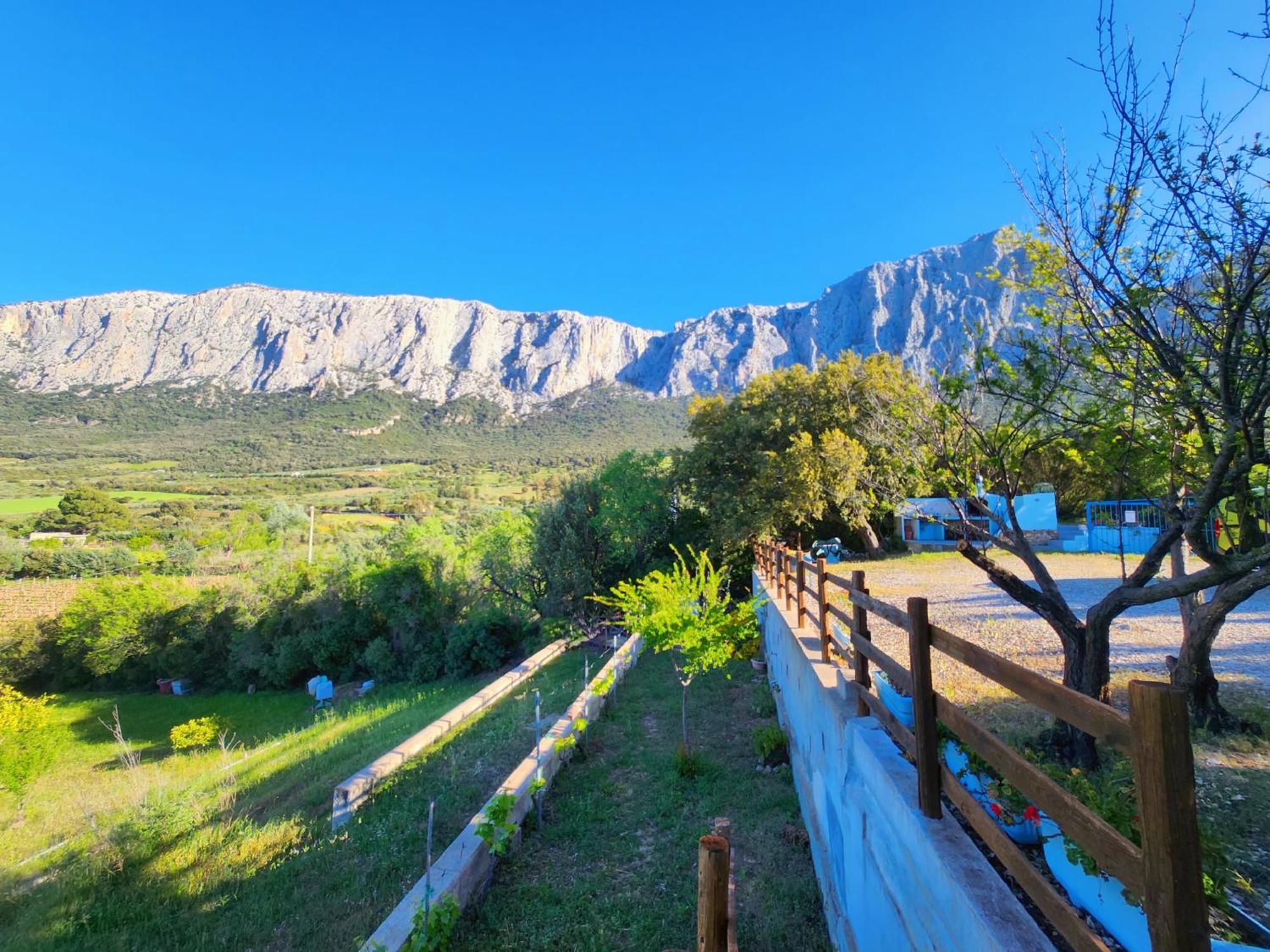 Panoramic House Vila Oliena Exterior foto