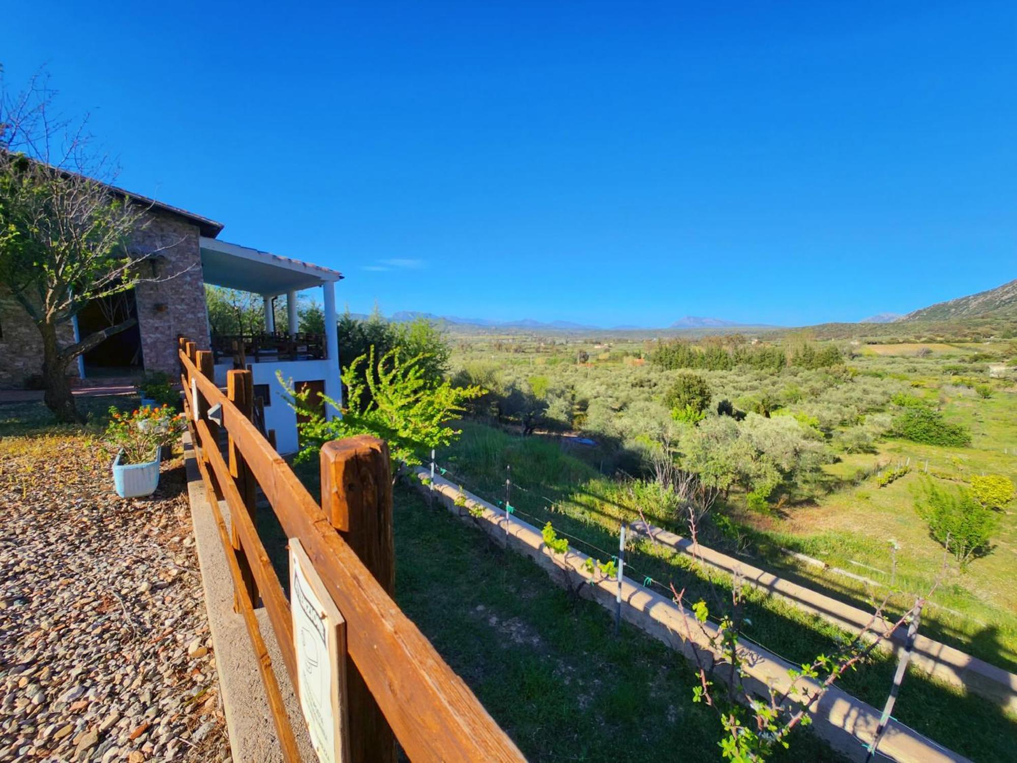 Panoramic House Vila Oliena Exterior foto