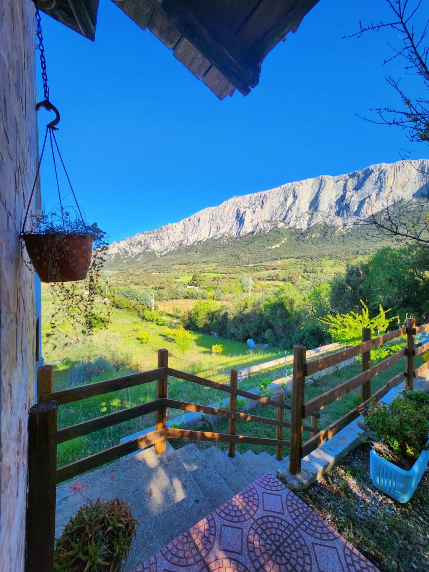 Panoramic House Vila Oliena Exterior foto