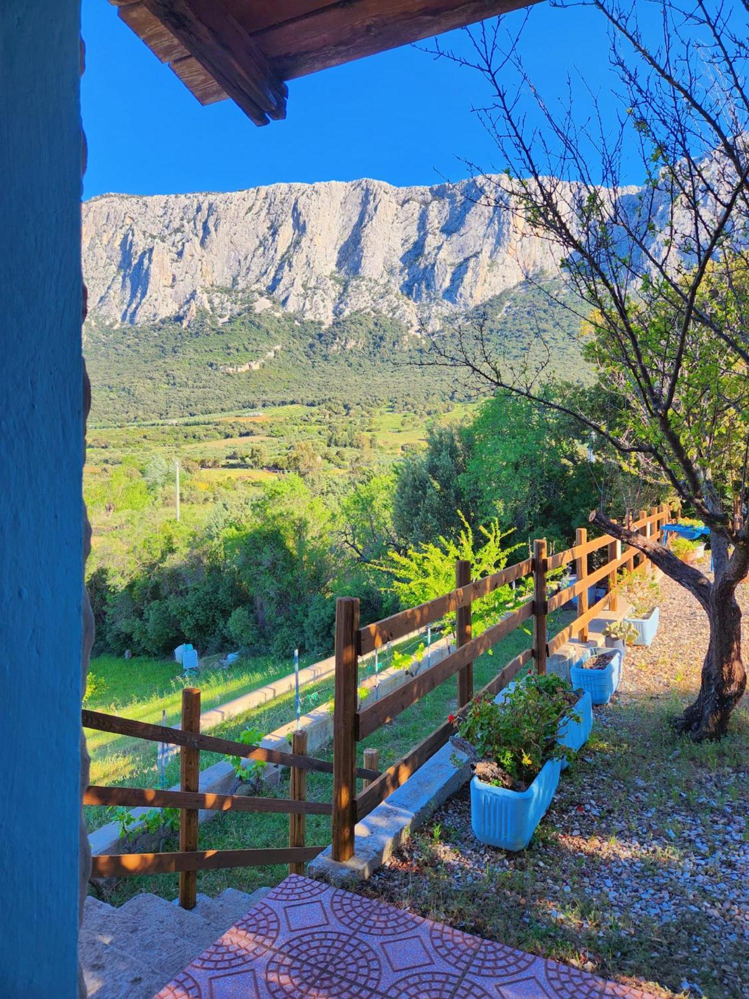 Panoramic House Vila Oliena Exterior foto