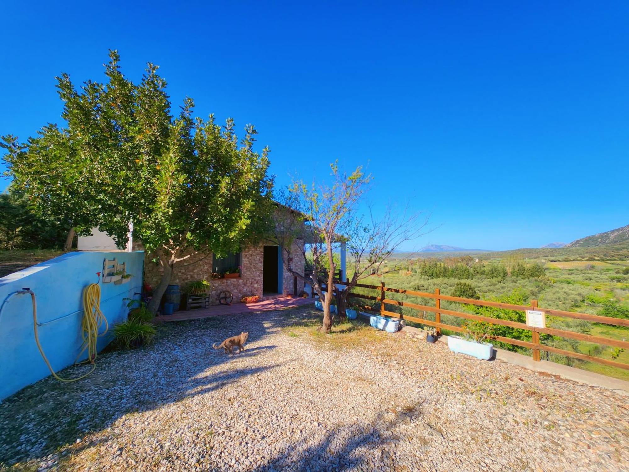 Panoramic House Vila Oliena Exterior foto